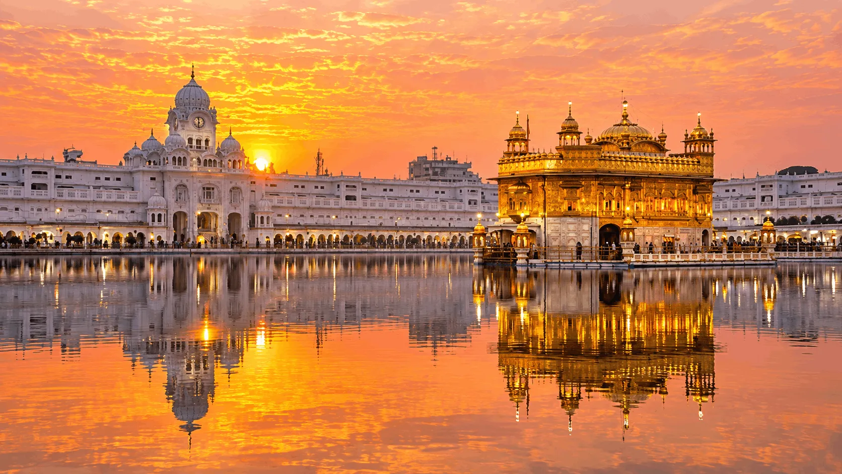 Visa consultant training in Amritsar