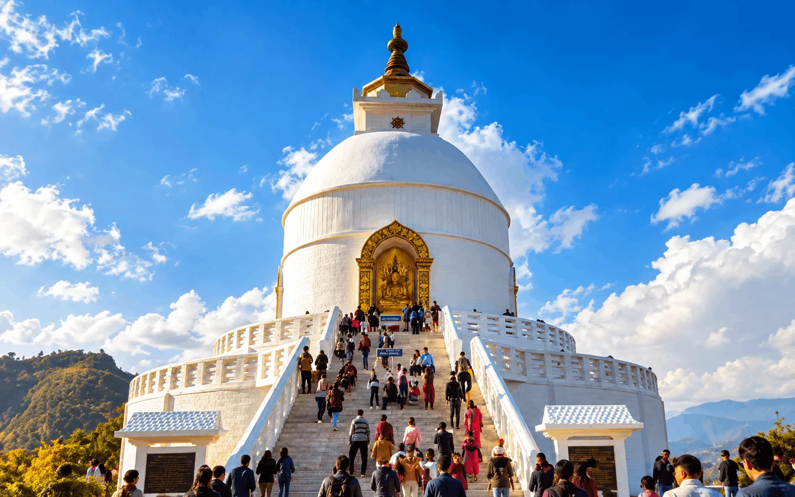 Visa consultant training in Patna