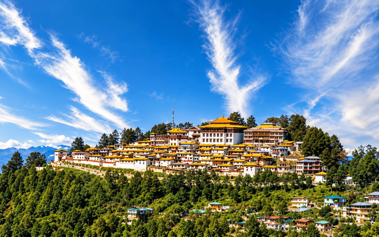 Visa consultant training in Arunachal Pradesh