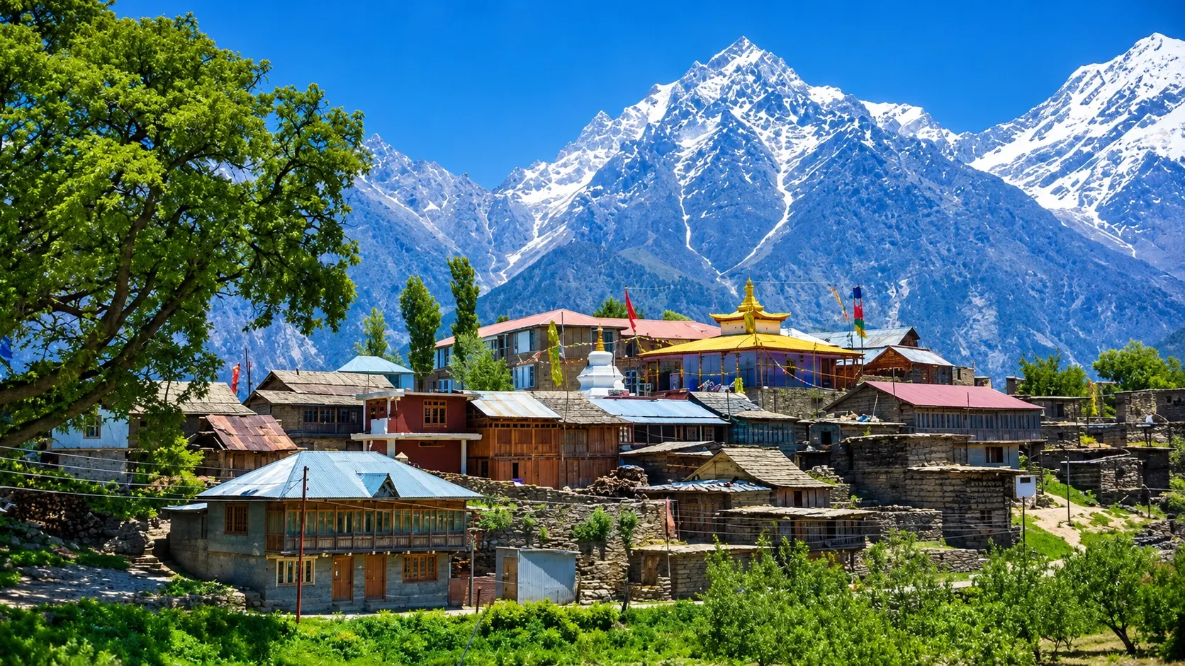 Visa consultant training in Himachal Pradesh