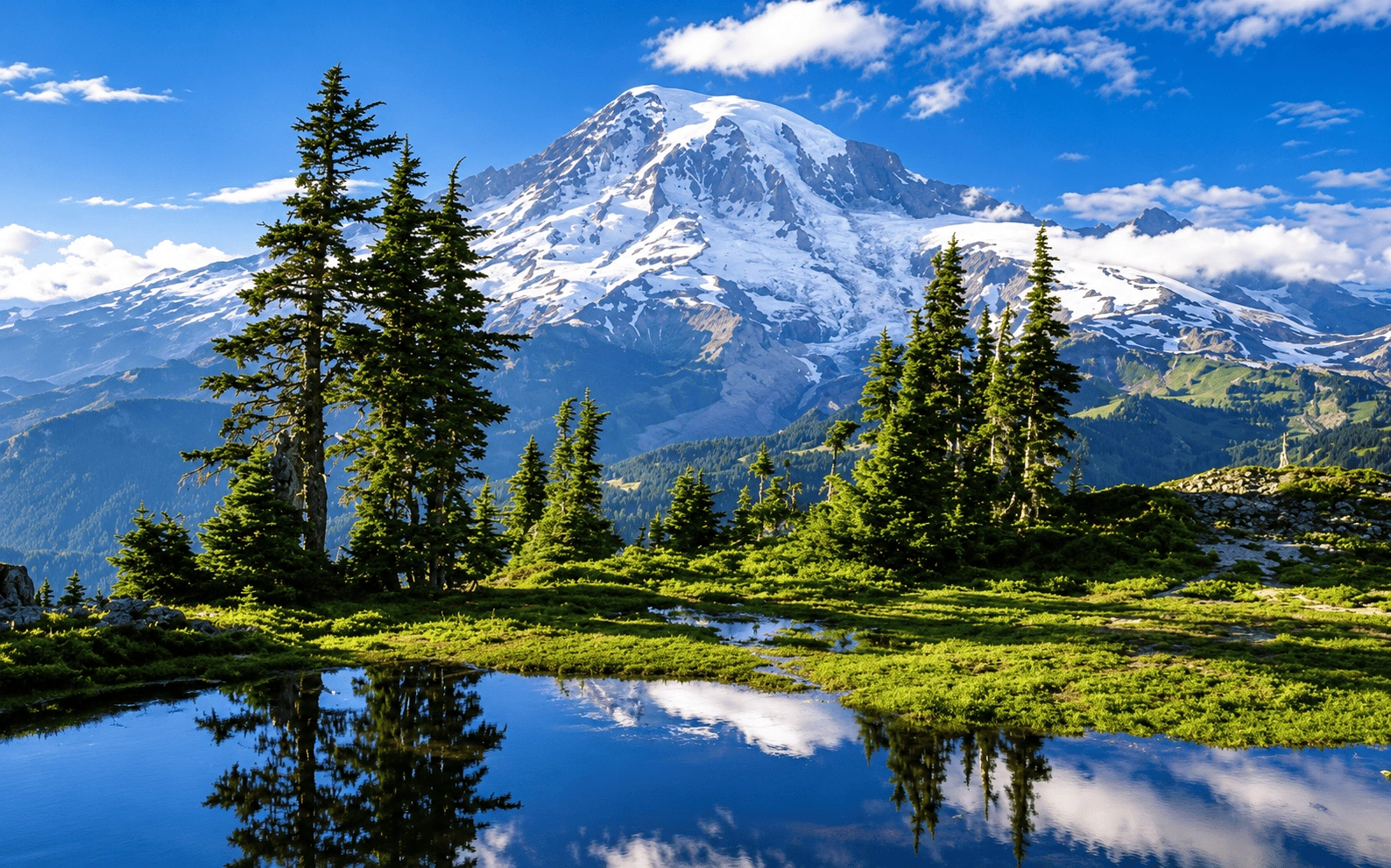 Visa consultant training in Sikkim