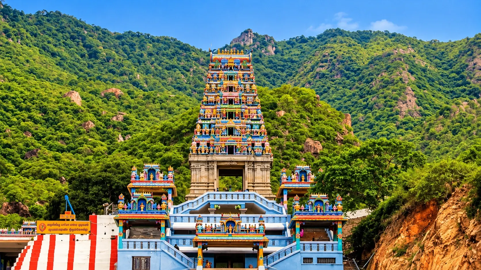 Visa consultant training in Tamil Nadu